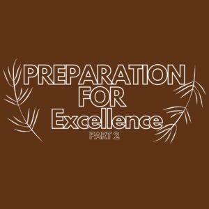 Preparation for Excellence 2