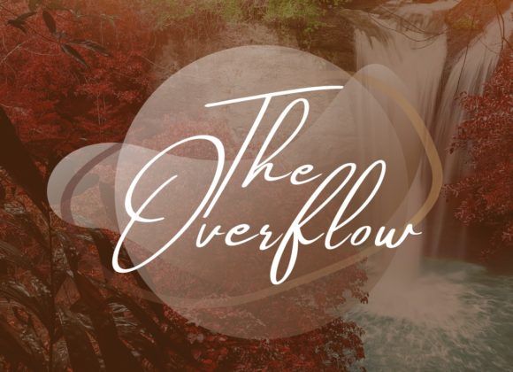 The Overflow